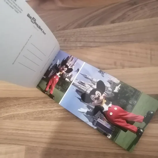 Walt Disney World - 20 Picture Postcards booklet