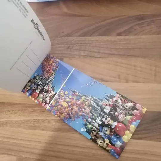 Walt Disney World - 20 Picture Postcards booklet