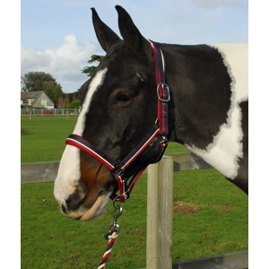 Rhinegold Padded Striped Headcollar & Lead Rope Set