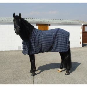 Rhinegold Cooler Rug