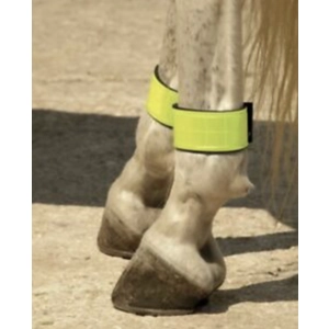 Harlequin Reflective Leg Bands. One size.