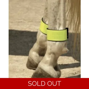 Harlequin Reflective Leg Bands. One size.