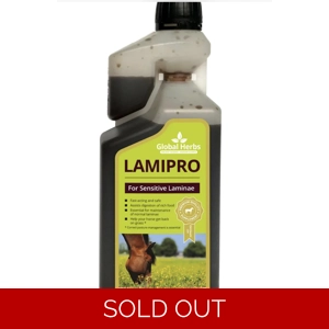Global Herbs Lami Pro Liquid. 500mls