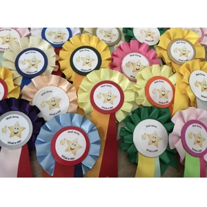 10 “what a star” rosettes. Random colours. 1 tier. 50mm centres