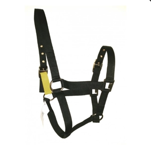 Sheldon Fieldsafe headcollar. Pony size NAVY ONLY