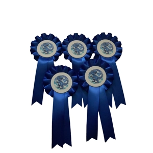 5 x Dinosaur rosettes.  1 tier. 50mm centres. Safety pin backs