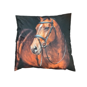 Bay Horse Cushion. 45x45cm. 18”. BN