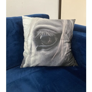 Equine/Equestrian/Horse themed cushions. Various designs. 45cm x 45cm. All brand New