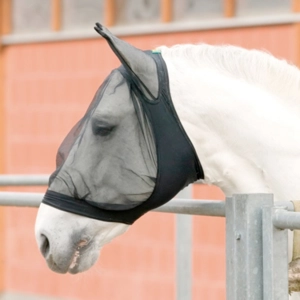 USG Lycra Fly mask.