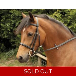 Windsor Equestrian Plain Leather Bridle. Havana or Black. Shet-XFull