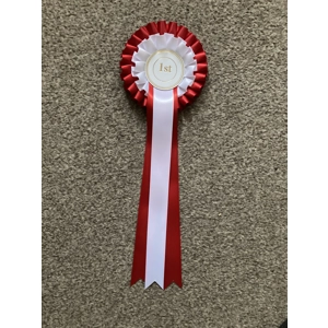 2 tiered rosettes. 1st.  Red/White. Made to order.