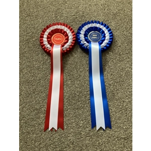 Champion and Reserve Champion Rosettes.