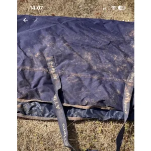Loveson all pro 5ft 6in light/mediumweight turnout. Used.