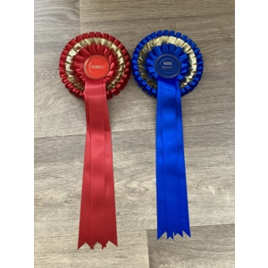 3 tier Champion  and Reserve Champion Rosettes.