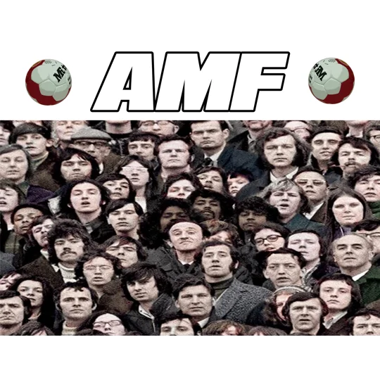 AMF CROWD