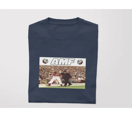 AMF ARREST