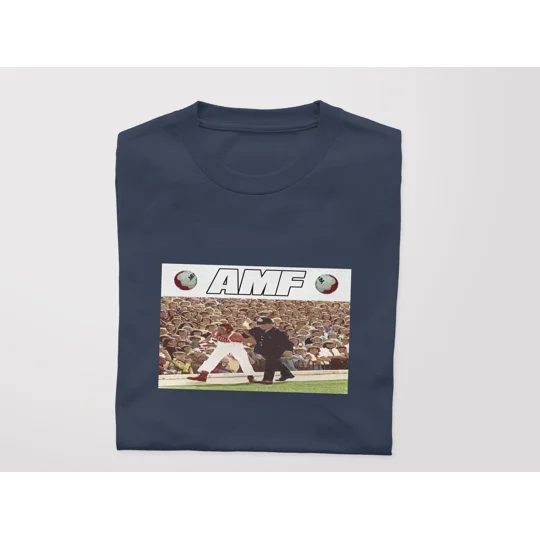 AMF ARREST