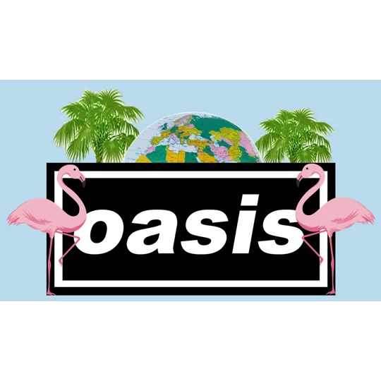DEFINITELY MAYBE ITEMS