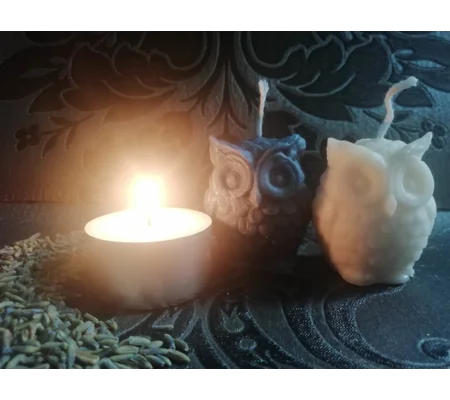 owl candle