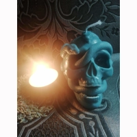 snake skull candle