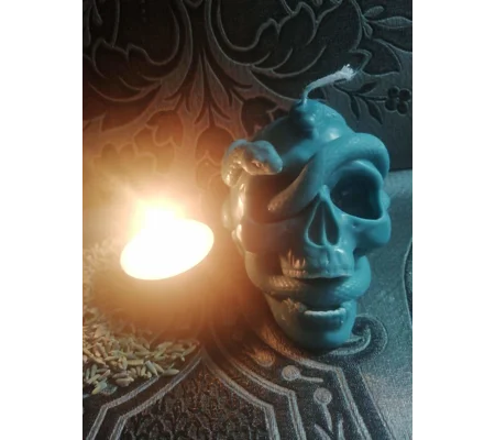 snake skull candle