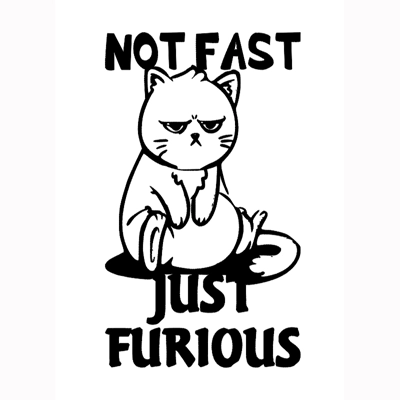 Not Fast Just Furious Sticker Large