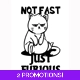 Not Fast Just Furious Sticker Large