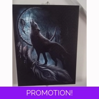 From Darkness Wolf Canvas
