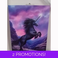 Black Unicorn  Canvas by Anne Sto..