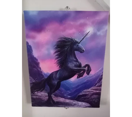 Black Unicorn Canvas by Anne Stokes