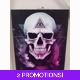 The Void Skull and all seeing eye canvas
