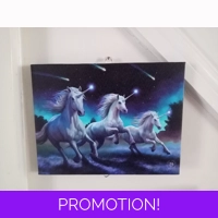 Shooting Stars Canvas