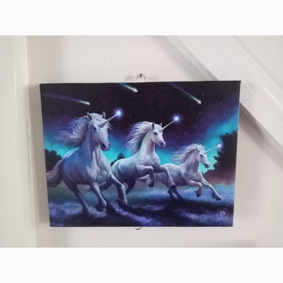 Shooting Stars Canvas