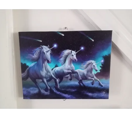 Shooting Stars Canvas