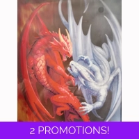 Fire and Ice Dragon Canvas