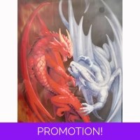 Fire and Ice Dragon Canvas
