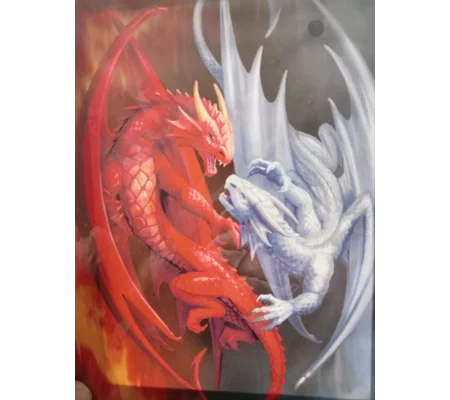 Fire and Ice Dragon Canvas
