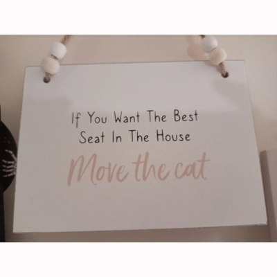 If you want the best seat in the house move the cat sign