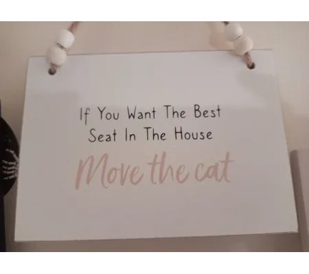If you want the best seat in the house move the cat sign