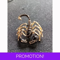 Black and gold coloured scorpion ..