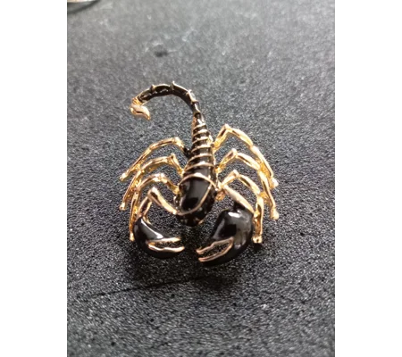 Black and gold coloured scorpion pin brooch