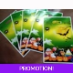 Bat and Pumpkin party Halloween Goody Bag Pack o..