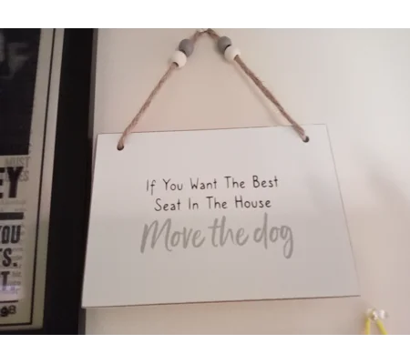 If you want the best seat in the house move the dog sign