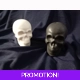 Black and White Skull Salt and Pepper shakers