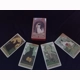 Cats Rule the Earth Tarot