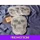Grey Skull Coaster Set