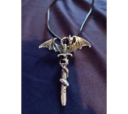 Stainless steel dragon and sword choker