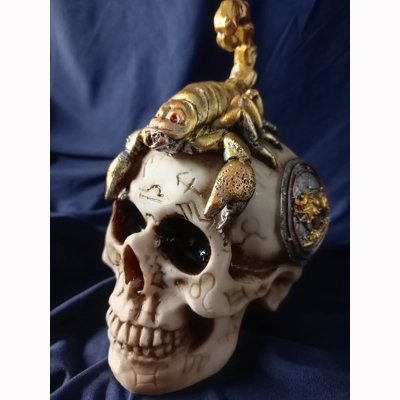Scorpion Skull