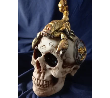 Scorpion Skull