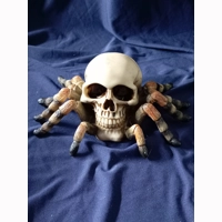 Skull with Spider legs